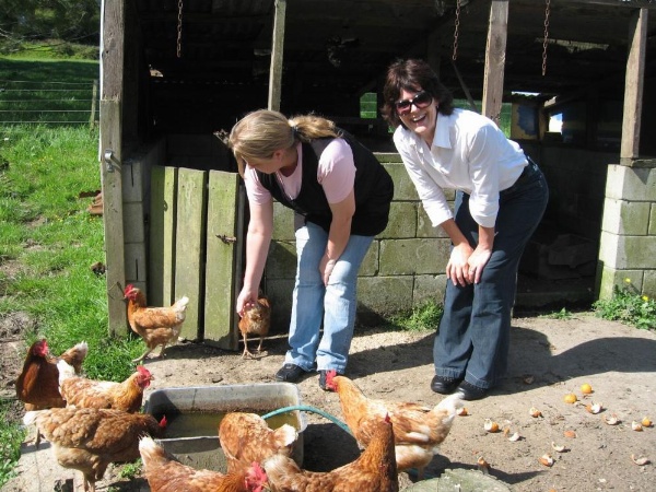 Miranda Orchard Cottage image 10