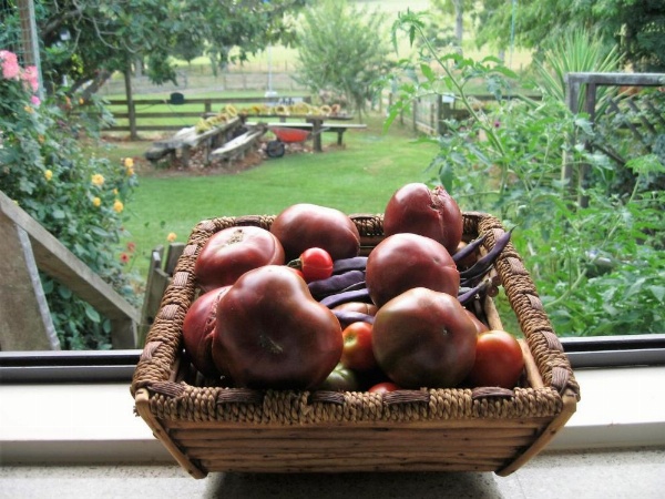 Miranda Orchard Cottage image 18