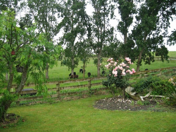 Miranda Orchard Cottage image 22