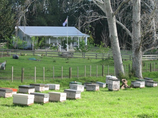 Miranda Orchard Cottage image 9